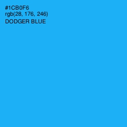 #1CB0F6 - Dodger Blue Color Image